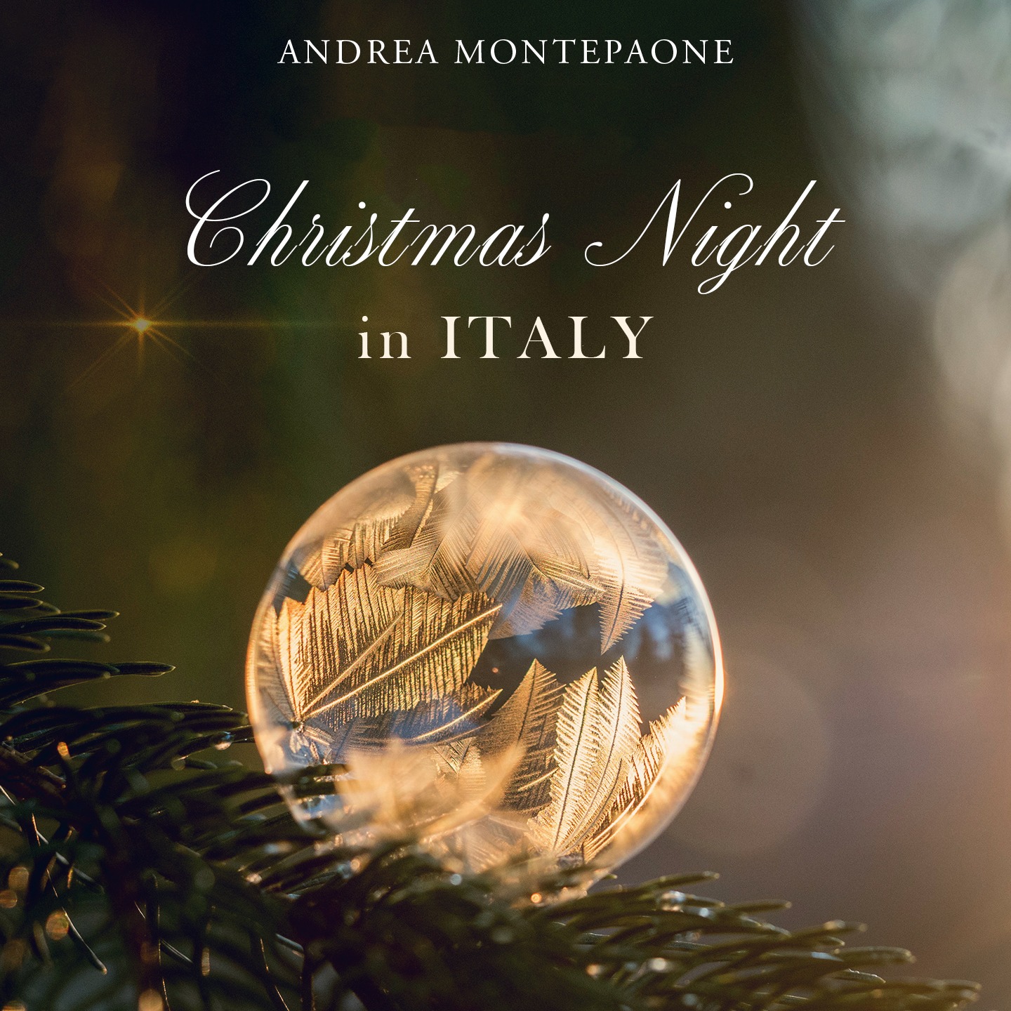 Christmas Night in Italy Montepaone